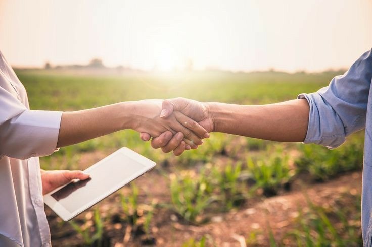 Partners working together in the field